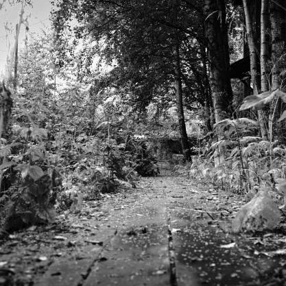 Path