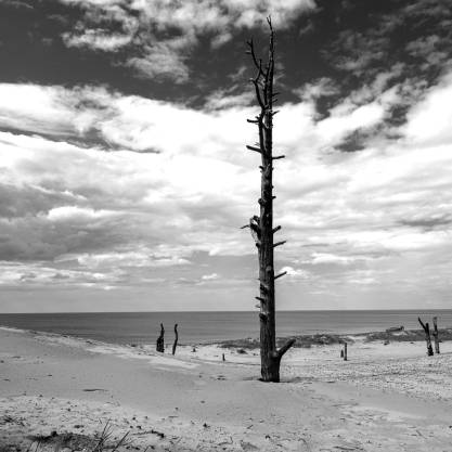 Белое море