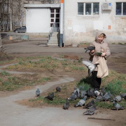 Голуби