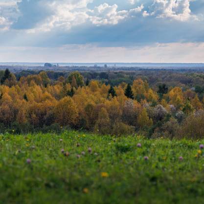 Malye Karely, fall
