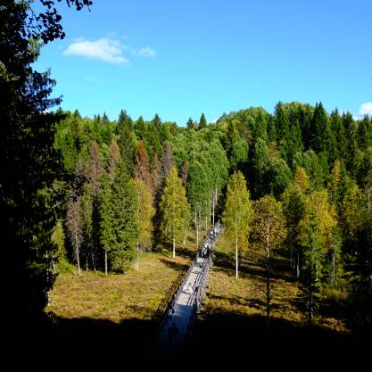 Малые карелы