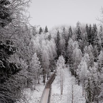 Scenery