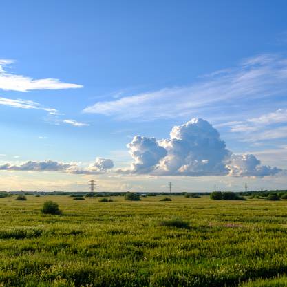 За Архангельском
